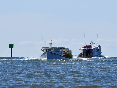 Smith Island boats