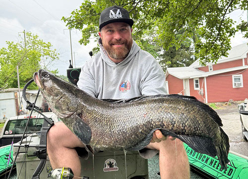 Matt Foreman - Maryland Invasive State Record Northern Snakehead 2025