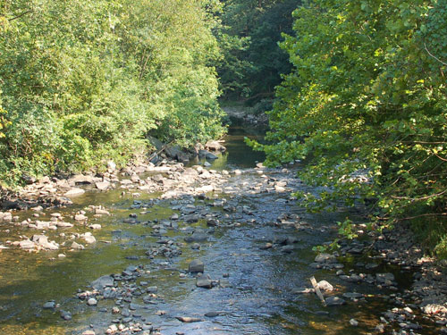 Patapsco River at Patapsco Valley State Park