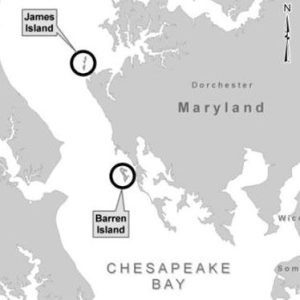 Mid-Chesapeake Bay Island Ecosystem Restoration Project