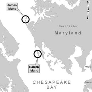 James Island Mid-Chesapeake Bay Island Ecosystem Restoration project
